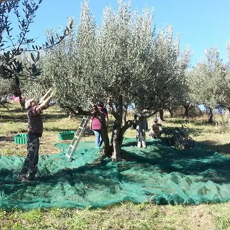 Casa Pietra - * Atessa
